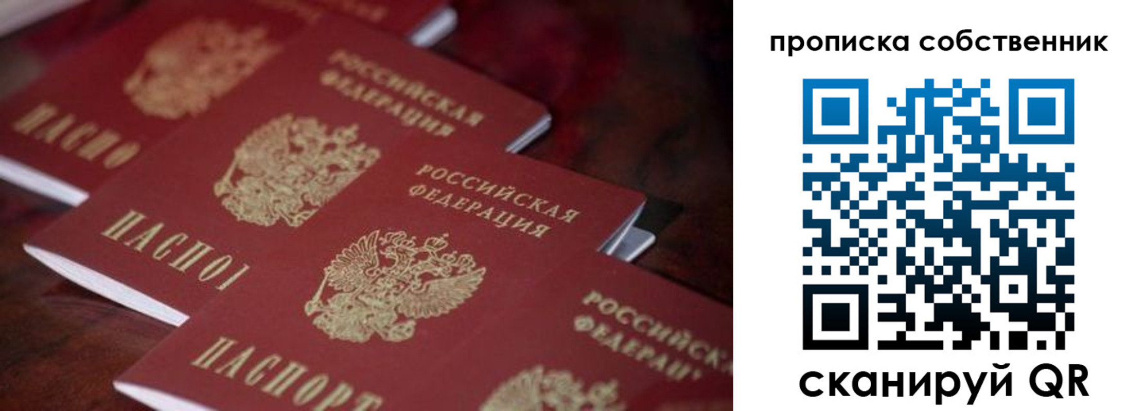 купить прописку в Александровске